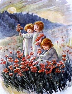 Mohnblumen sammeln