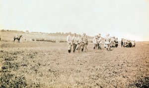 Fotografie aus einem persönlichen Album eines Infanterieleutnants während der ersten Monate des Ersten Weltkriegs von Anonymous Anonymous