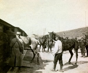 Fotografie aus einem persönlichen Album eines Infanterieleutnants während der ersten Monate des Ersten Weltkriegs von Anonymous Anonymous