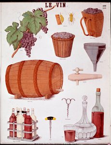 Tafel illustriert über die Kunst der Weinherstellung und der Önologie: Traube, Trichter, Zimt, Korb und Extraktor, Weinstück, Korkenzieher, Flasche, Karaffe, Bohrer und Weinkiste. Gravur des 19. Jahrhunderts Private Sammlung