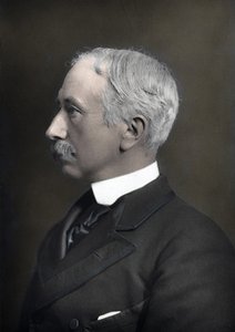 Porträt des Marschalls Viscount Garnet Joseph Wolseley (1833-1913), Oberbefehlshaber der britischen Armee