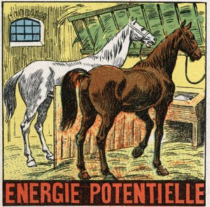 Potentielle Energie: Pferde ruhen in einem Stall. Anonyme Illustration von 1925. Private Sammlung. von Anonymous Anonymous