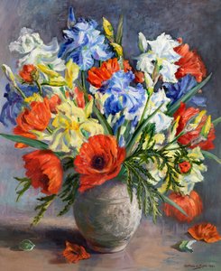 Mohnblumen und Schwertlilien