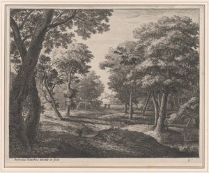 Ein Weg durch den Wald