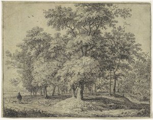 Mann mit Hund in einem Wald