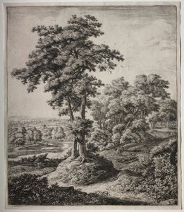 Der Prophet von Juda von Anthonie Waterloo