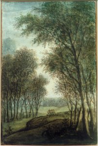 Waldrand von Anthonie Waterloo