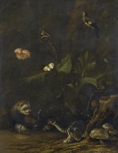 Tiere und Pflanzen