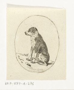 Sitzender Hund von Anthonie van den Bos