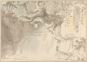 Wasserfall und Baumstamm