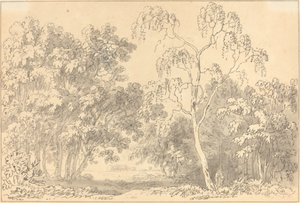 Bewaldete Landschaft von Anthony Devis