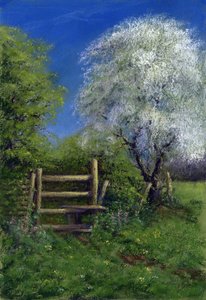 Frühling am Stile, 2013