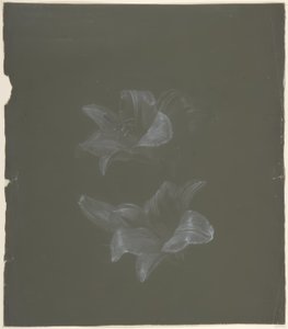 Florales Design von Antoine Berjon