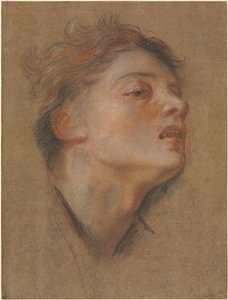 Kopf eines jungen Mannes von Antoine Coypel