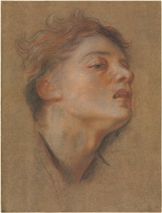 Kopf eines jungen Mannes, 1715-1717 von Antoine Coypel