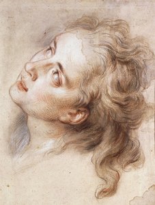 Der Kopf eines Engels, nach links blickend von Antoine Coypel