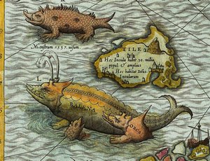 (Detail) Karte des Meeres (Carta marina) von Olaus Magnus