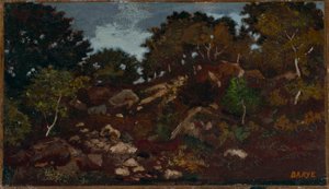 Felsen im Wald von Fontainebleau