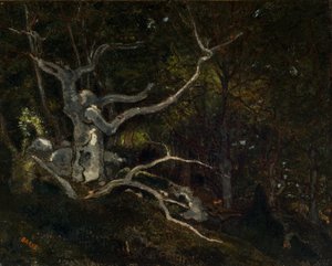 Wald von Fontainebleau, Die "Reine Blanche" 1860