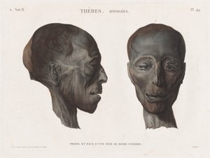 Beschreibung von Ägypten: Theben. Hypogäen Bd. II, Pl. 49