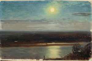 Die Donau mit dem Marchfeld bei Nacht