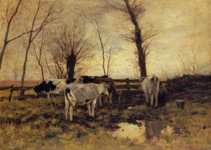 Kühe auf der Weide von Anton Mauve