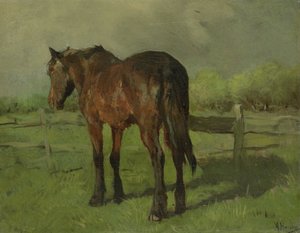 Pferd
