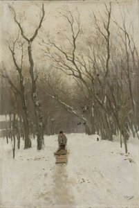 Winter in den Scheveninger Wäldern