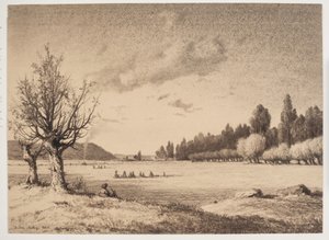 Offene Landschaft mit einem Wald in der Ferne. Burgund