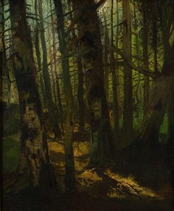 Waldlichtung