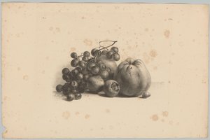 Trauben und Äpfel von Anton Weiss