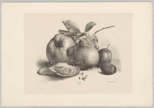 Früchte, Pflaumen und Austern von Anton Weiss