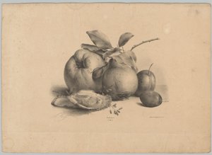 Früchte, Pflaumen und Austern (Blumen- und Fruchtstudien, 10. Folge) von Anton Weiss