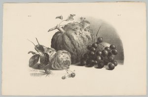 Kürbis, Trauben, Rose und Erdbeeren von Anton Weiss
