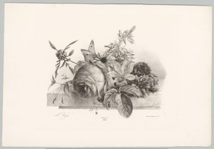 Rosen, Lilien, glockenförmige Blumen und Schmetterling von Anton Weiss