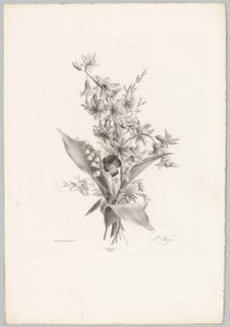 Veilchen und Hyazinthen- und Glockenblumen von Anton Weiss