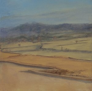 Zickzackhecke, Somerset, 2022 von Antonia Myatt