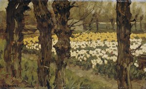 Tulpenfelder von Antonie Louis Koster