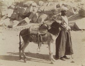 Bourier und Bouriquer, Ägypten