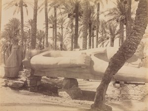 Statue von Ramses in Saqqara
