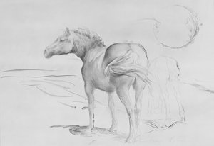 Pferde bei Coolmore, 1990 von Antonio Ciccone