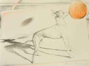 Weltraumhund