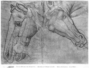Pferdeköpfe, aus dem Vallardi-Album von Antonio Pisanello