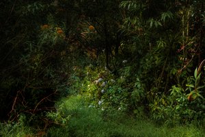 Wege, 2015