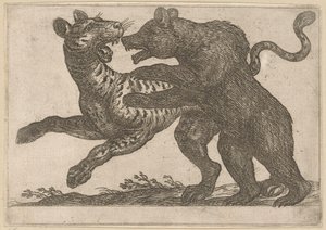 Ein Bär kämpft mit einem Tiger von Antonio Tempesta