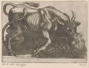 Ein Stier kämpft mit einem Löwen (Vechtende dieren) von Antonio Tempesta