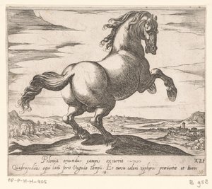 Steigendes Pferd nach rechts gewandt von Antonio Tempesta