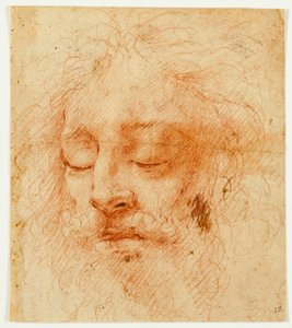 Kopf eines schlafenden Mannes von Antonio da Correggio