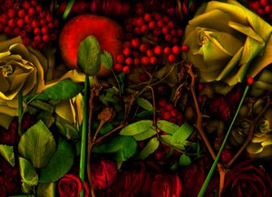 05 Magischer Garten Nr. 36