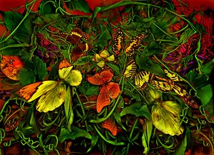 Anderswelt Nr. 102-1, 2025